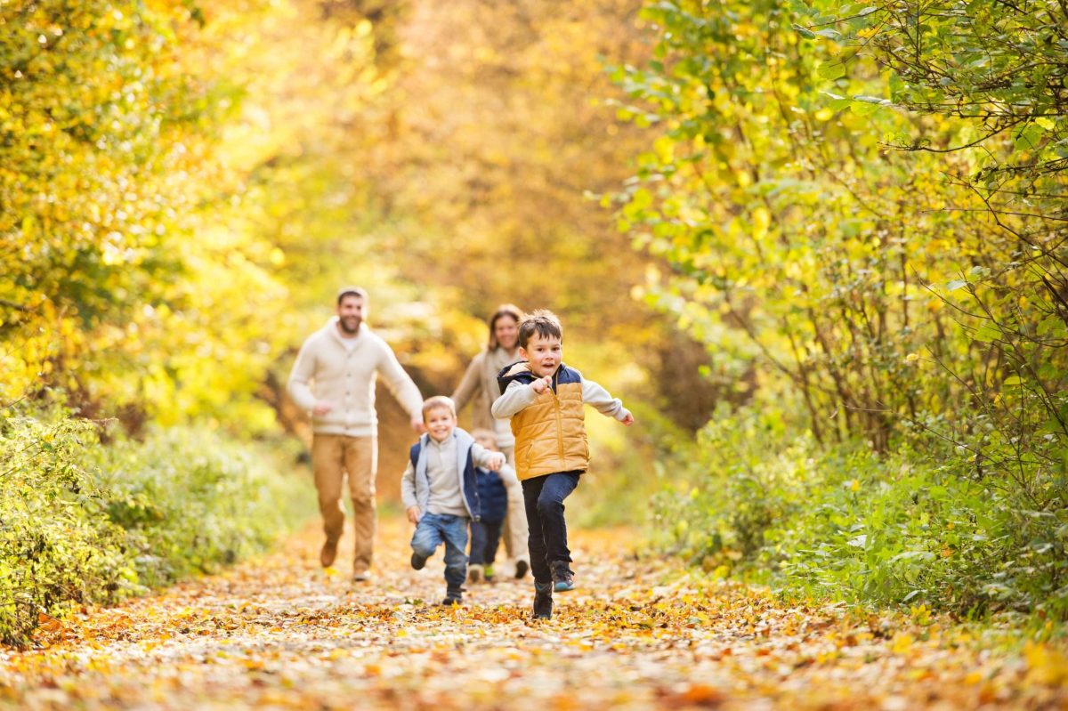 The best autumn walks near campsites