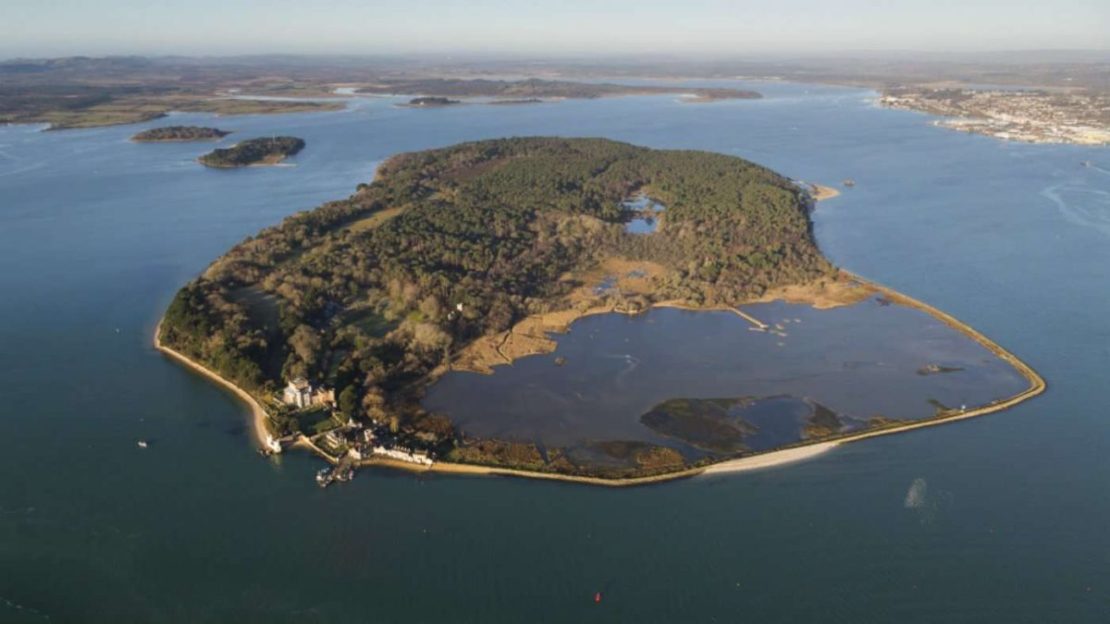 Discover Dorset: Brownsea Island in Poole