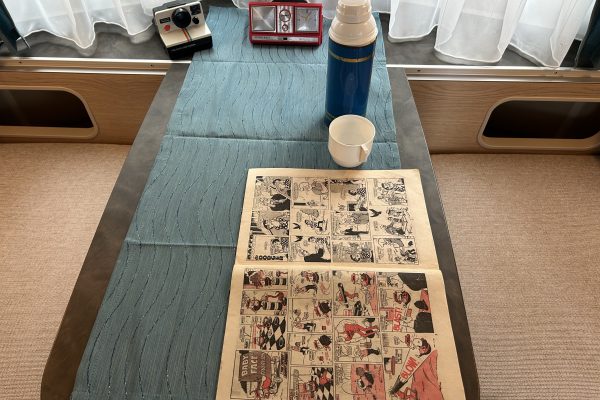 2022 Eriba Troll 530 60th Edition [9]