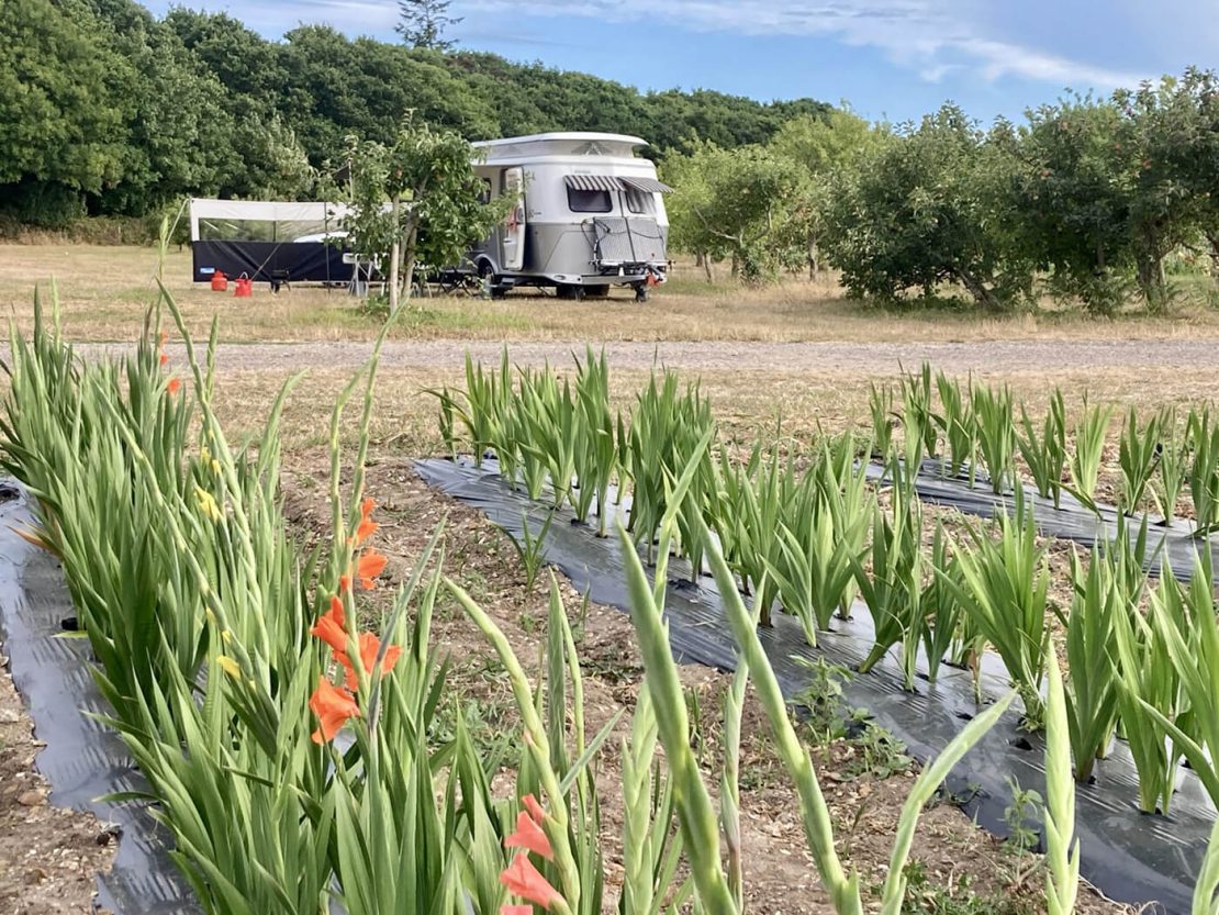 Customer Gallery [12]